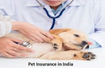 how pet insurance works