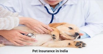 how pet insurance works